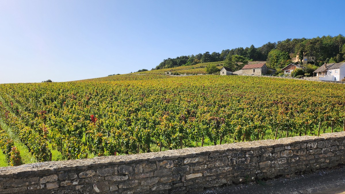 Clos des Lambrays